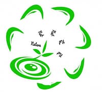 In-Depth Review On Papaya Leaf Extract Capsules. 4 Papaya leaf extract capsules