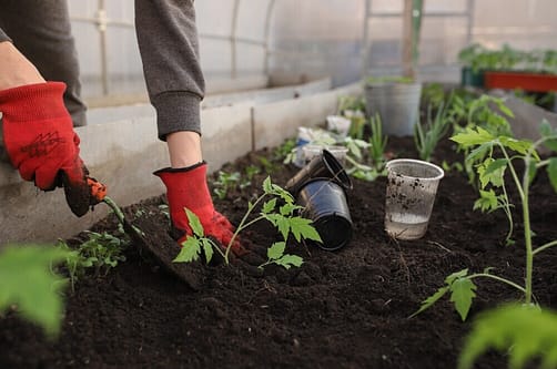Best Prevention Tips For Proactive Living. 5 Best Prevention Tips For Proactive Living
