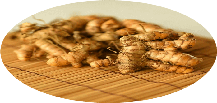 Exploring the Anti-inflammatory Potential: Soursop, Ginger, and Turmeric. 5 649e1b38b770924049605942318955631701638152 cropped optimized