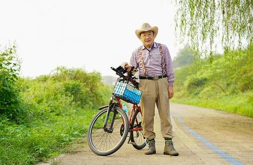 Understanding The Fear Of Falling In The Elderly 3 Breaking the Cycle of Fear on falling in the elderly