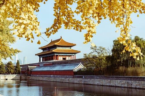 Clever Chinese Elderly Fall Prevention Strategies 2 Clever Chinese Fall Prevention Strategies.