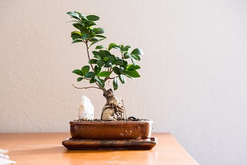 Best Prevention Tips For Proactive Living. 4 Best Prevention Tips For Proactive Living